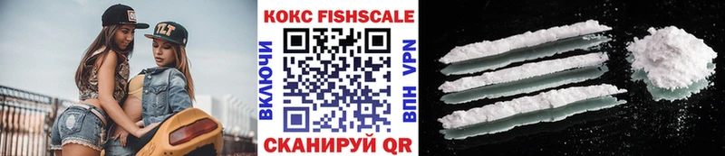 Cocaine 99%  купить закладку  Шахунья 