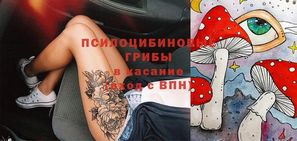 прущий лед Рославль